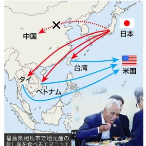 JF-Graphic Japanese Scallops to US 日本産ホタテ　中国介さず米国へ輸出